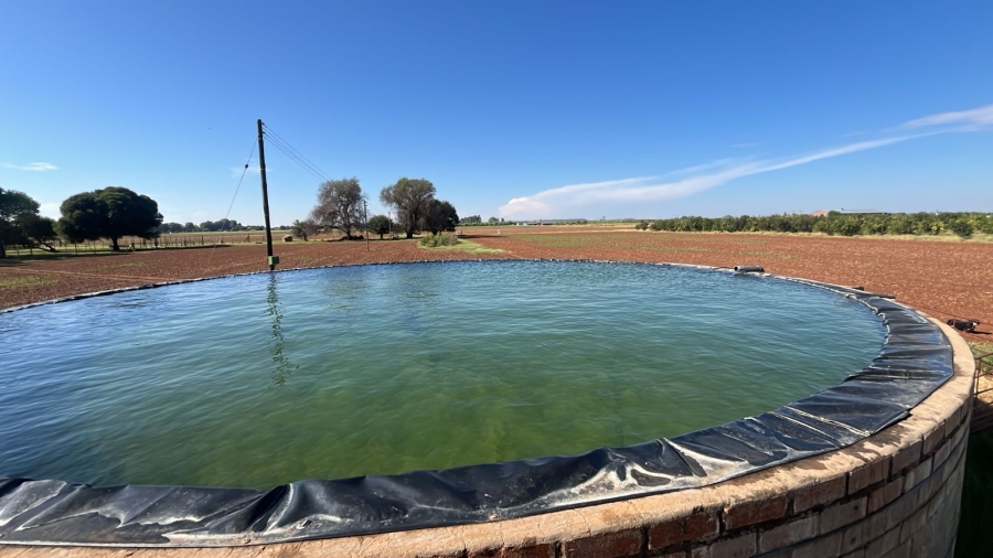 Commercial Property for Sale in Arcadia SH Free State